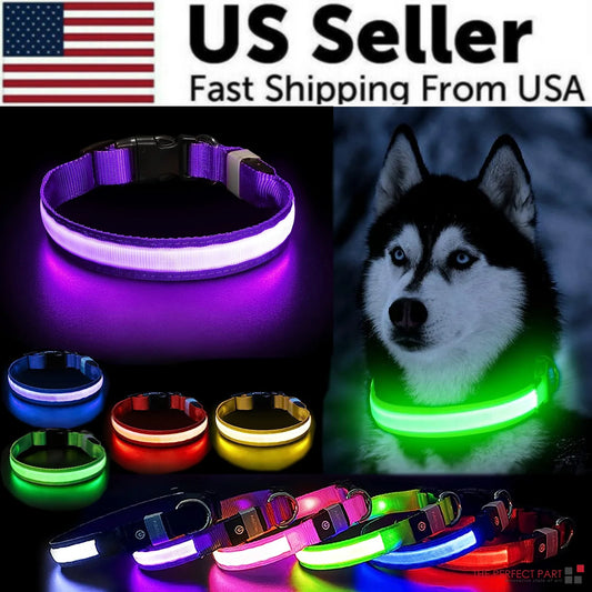 LED Dog Collar – Adjustable, Waterproof, and Glowing Light-Up Safety Collar for Pets