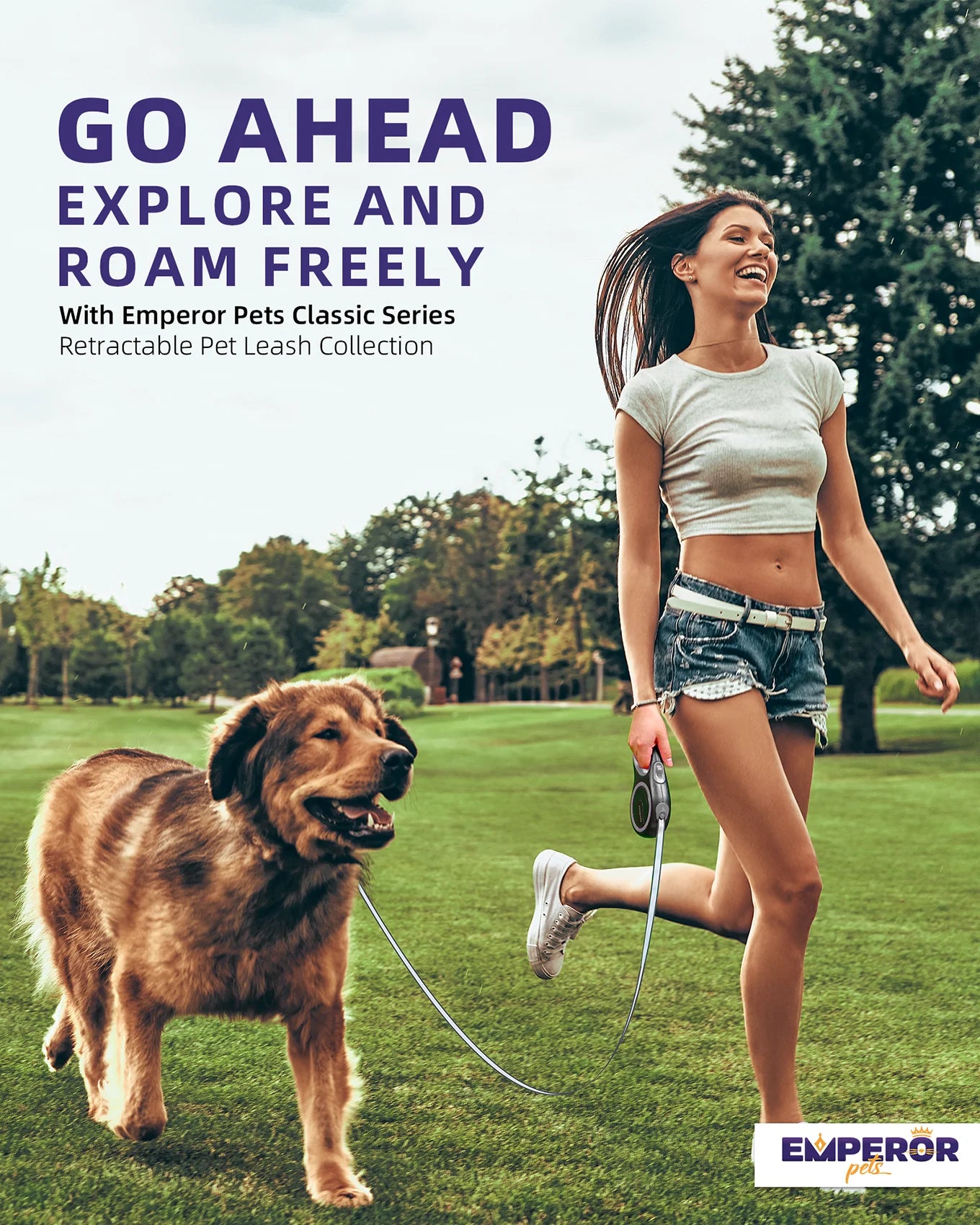 16FT Retractable Dog Leash – Heavy Duty Leash for Large Dogs up to 110 lbs (Gray, GY16-50)