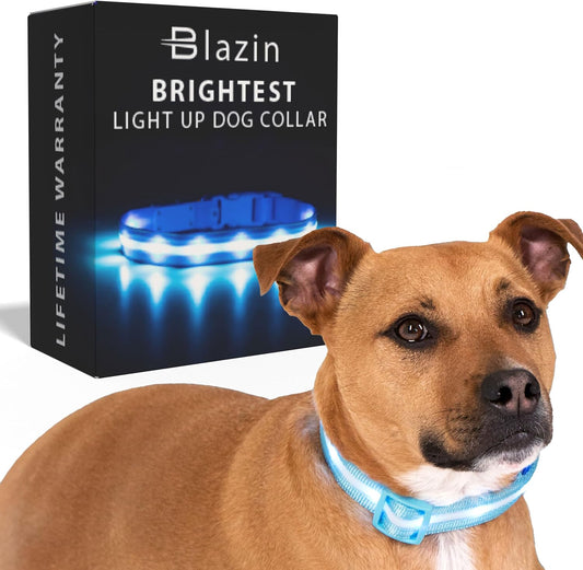 Light up Dog Collar - the Original LED Dog Collar - USB Rechargeable - Waterproof - 1,000 Feet of Visibility - Dog Collar Light for Small, Medium, Large Dogs - US Brand